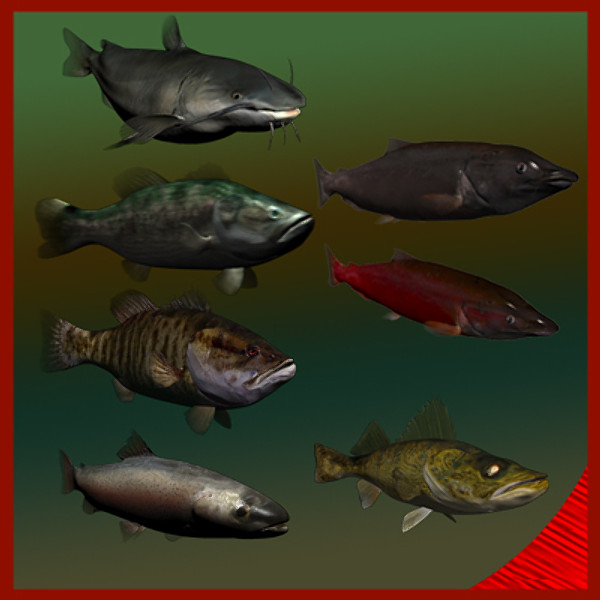 max largemouth fish - Freshwater fish collection by gauthier12